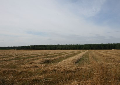 działka na sprzedaż - Pobiedziska (gw), Kołata